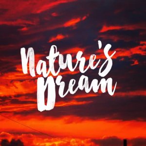 收聽Dreams of Nature的Summertime Brook歌詞歌曲