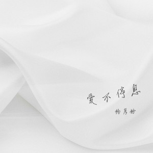 杨彦好的专辑爱不停息