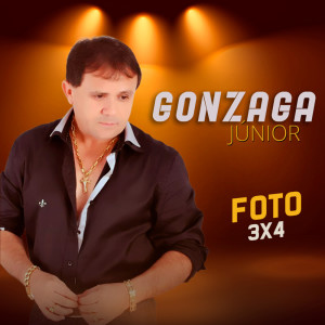 Dengarkan Brigas lagu dari Gonzaga Júnior dengan lirik