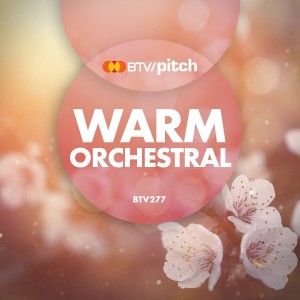 Album Warm Orchestral from Bob Bradley