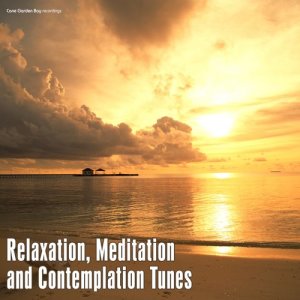 Various Artists的專輯Relaxation, Meditation and Contemplation Tunes
