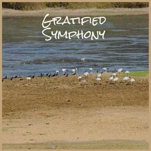 Album Gratified Symphony from Various Artists