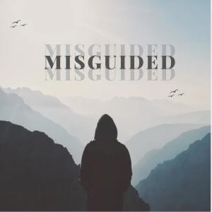 Jabari Heavens的專輯Misguided (feat. Lil Mannish)