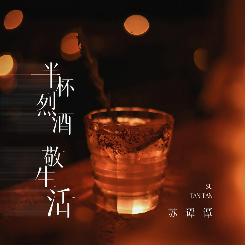 半杯烈酒敬生活 (DJ彭锐版伴奏)