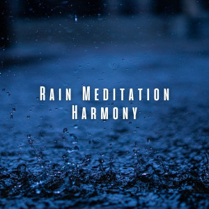 Meditation and Relaxation的专辑Rain Meditation Harmony: Chill Music for Peaceful Mindfulness