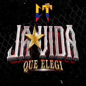 收聽Rei Panda的LA VIDA QUE ELEGI歌詞歌曲