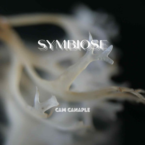Album Symbiose from Cam Canaple