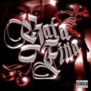ดาวน์โหลดและฟังเพลง Gata Fina (Explicit) พร้อมเนื้อเพลงจาก Pai Gago