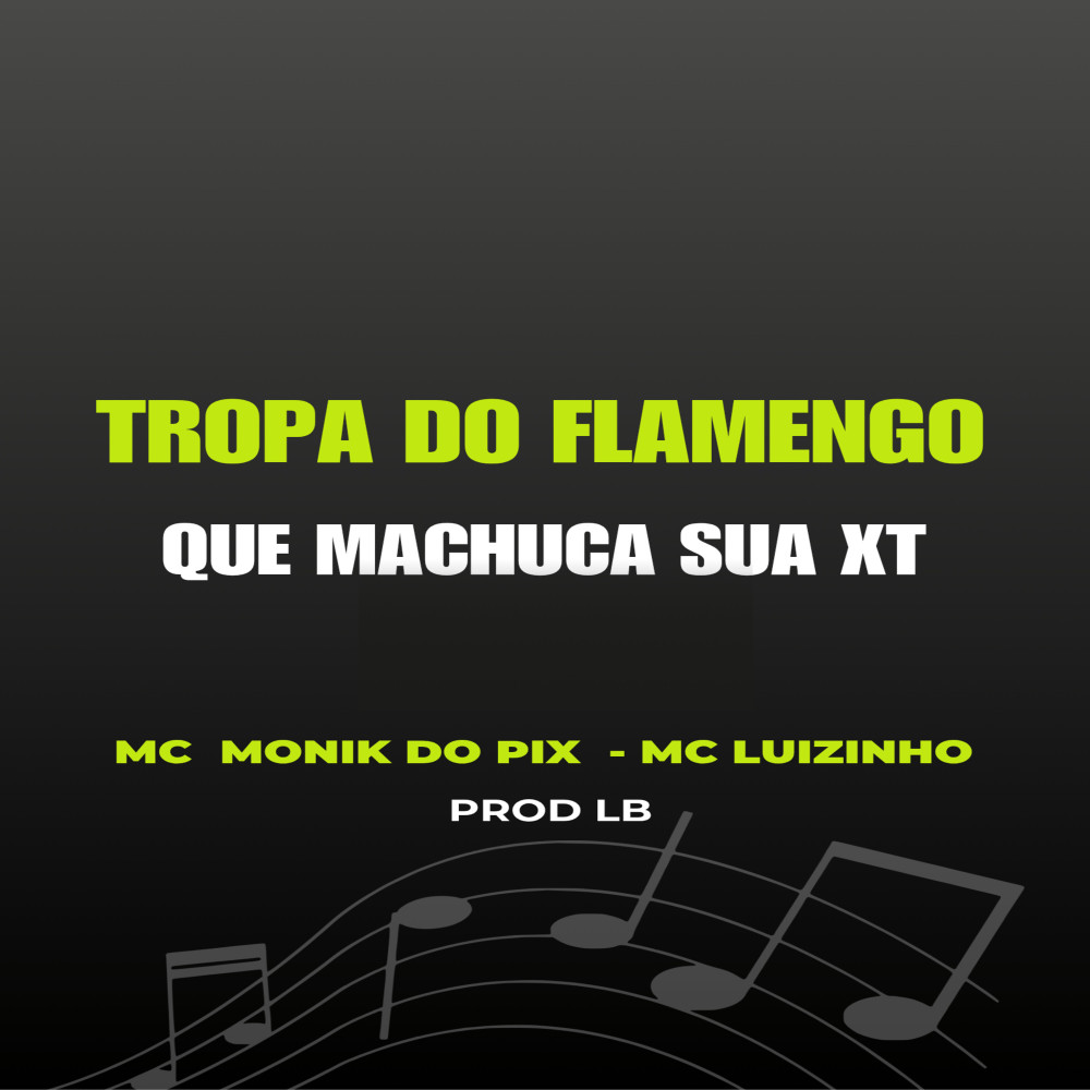 Tropa do Flamengo Que Machuca a Minha Xt (Funk|Explicit)