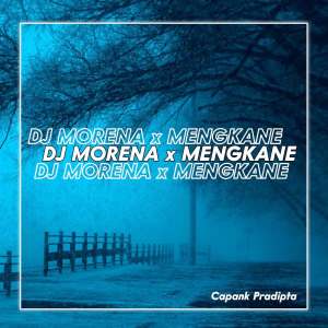 Listen to DJ Morena X Cipegi Pampam Goyang Dumang Mengkane song with lyrics from CAPANK PRADIPTA
