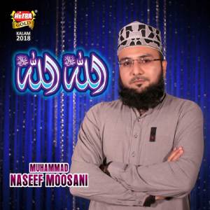 ดาวน์โหลดและฟังเพลง Allah Allah พร้อมเนื้อเพลงจาก Muhammad Naseef Moosani