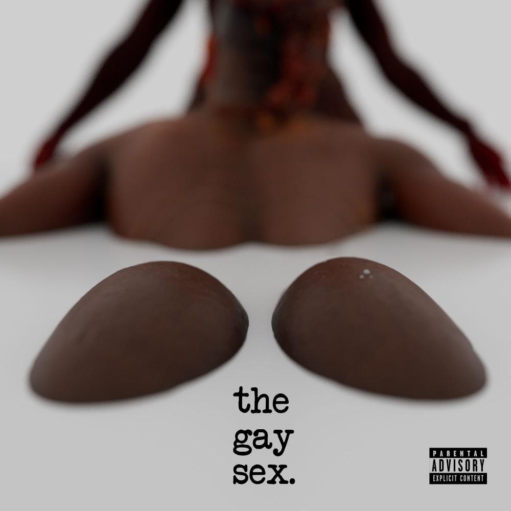 The Gay Sex (Explicit)