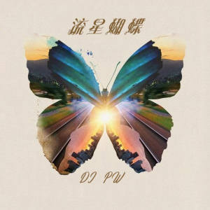 Listen to 流星蝴蝶 (电音版) song with lyrics from DJ pw