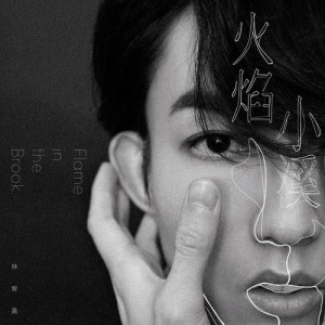 收听林宥嘉的火焰小溪歌词歌曲