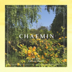 ดาวน์โหลดและฟังเพลง 채워줘 (Fill it up) พร้อมเนื้อเพลงจาก Chae Min