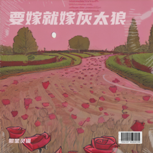 Listen to 要嫁就嫁灰太狼 (cover: 周艳泓) (完整版) song with lyrics from 李臣宝