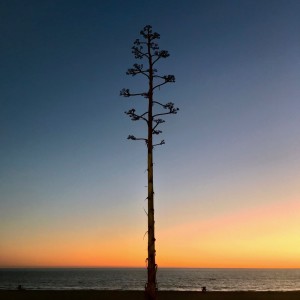 收聽Enjune的Be Alright歌詞歌曲