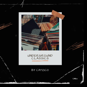 收聽Catzico的Shape shifter歌詞歌曲