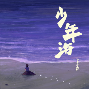 Album 少年海 from 卞子严