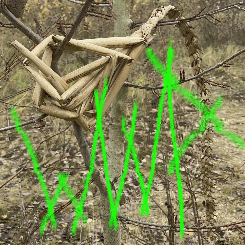 wind (Explicit)