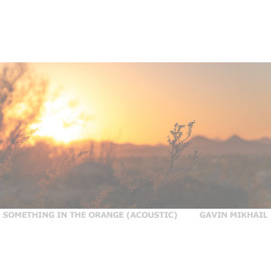 Gavin Mikhail的专辑Something In The Orange (Acoustic)