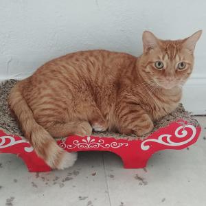 Dengarkan I Love You lagu dari current device dengan lirik