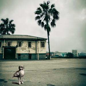 ดาวน์โหลดและฟังเพลง on the edge of town พร้อมเนื้อเพลงจาก P-RAM
