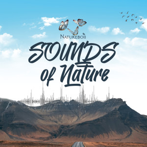 Listen to Dem Say song with lyrics from Natureboii