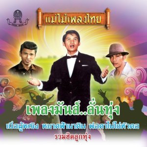 收听เพลิน พรหมแดน的เมื่อฉันมองเธอ歌词歌曲