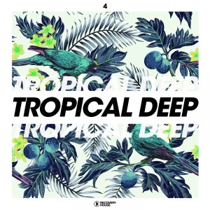 Various Artists的专辑Tropical Deep, Vol. 4