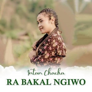 Dengarkan Ra Bakal Ngiwo lagu dari Intan Chacha dengan lirik