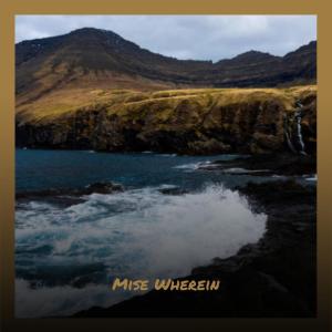 Various的专辑Mise Wherein