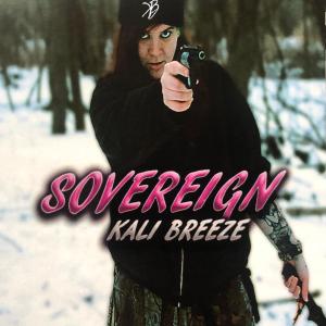 收聽Kali Breeze的Snapped (feat. Eryn Woods) (Explicit)歌詞歌曲