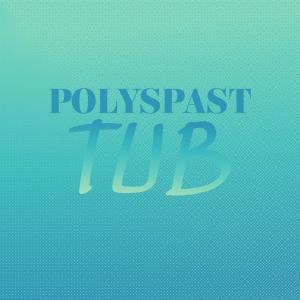 Listen to Polyspast Tub song with lyrics from Rence Prizer