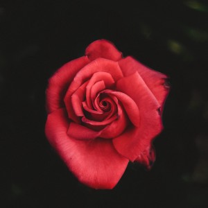 ดาวน์โหลดและฟังเพลง Bittersweet (Original Mix) พร้อมเนื้อเพลงจาก Mindbender
