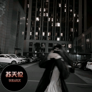 Listen to 春泥 (DJ新宝|伦崽 remix) (Remix) song with lyrics from DJ新宝