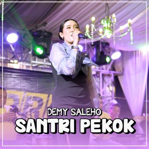 ดาวน์โหลดและฟังเพลง Santri Pekok พร้อมเนื้อเพลงจาก Demy Saleho