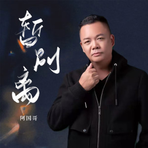 Listen to 暂别离 (DJ阿卓版伴奏) song with lyrics from 阿国哥