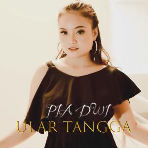 Listen to Ular Tangga song with lyrics from Pia Dwi