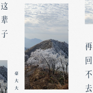 Listen to 是什么让你离开我 (DJ豪大大版) song with lyrics from 豪大大