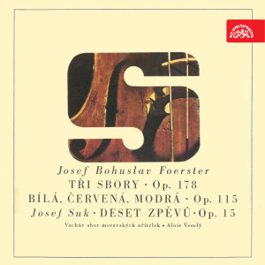 Dengarkan lagu Ten Songs for Female Choir with Piano for Four Hands, Op. 15: Sorrow nyanyian The Vach Moravian Lady Teacher´s Choir dengan lirik