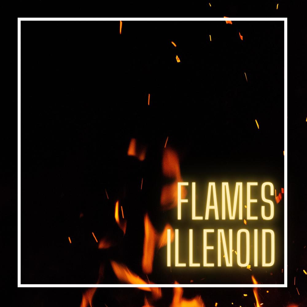 FLAMES (Extended mix)