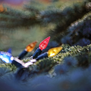 ดาวน์โหลดและฟังเพลง The Christmas Song พร้อมเนื้อเพลงจาก Corey Hensley