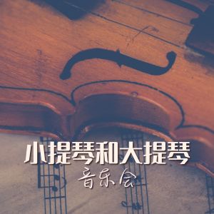 安靜的專輯小提琴和大提琴音樂會 - 最好聽的古典音樂精選集，放鬆緊張情緒的純音樂