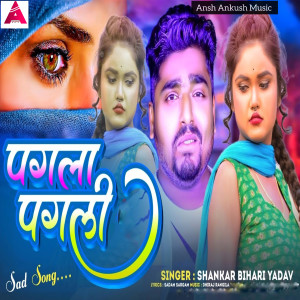 Listen to Pagla Pagli song with lyrics from Shankar Bihari
