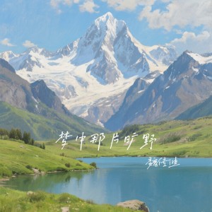 魏传迪的专辑梦中那片旷野