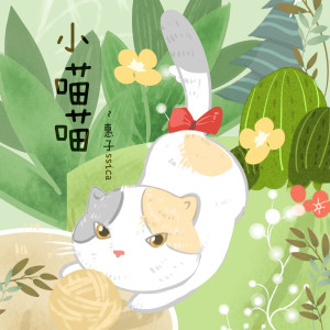 收聽惠子ssica的小喵喵 (伴奏)歌詞歌曲