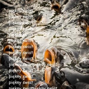 Dengarkan lagu Piękny Świat nyanyian Bmak dengan lirik