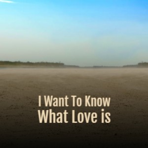 Various Artists的專輯I Want to Know What Love Is