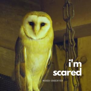ดาวน์โหลดและฟังเพลง I'm Scared (Explicit) พร้อมเนื้อเพลงจาก Wiser Observer